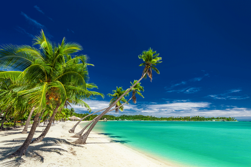 Beach-with-palm-trees-over-the-lagoon-on-Fiji-Islands