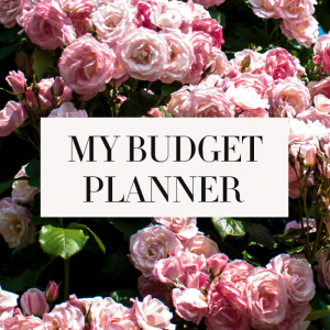 My-Budget-Planner-Tool